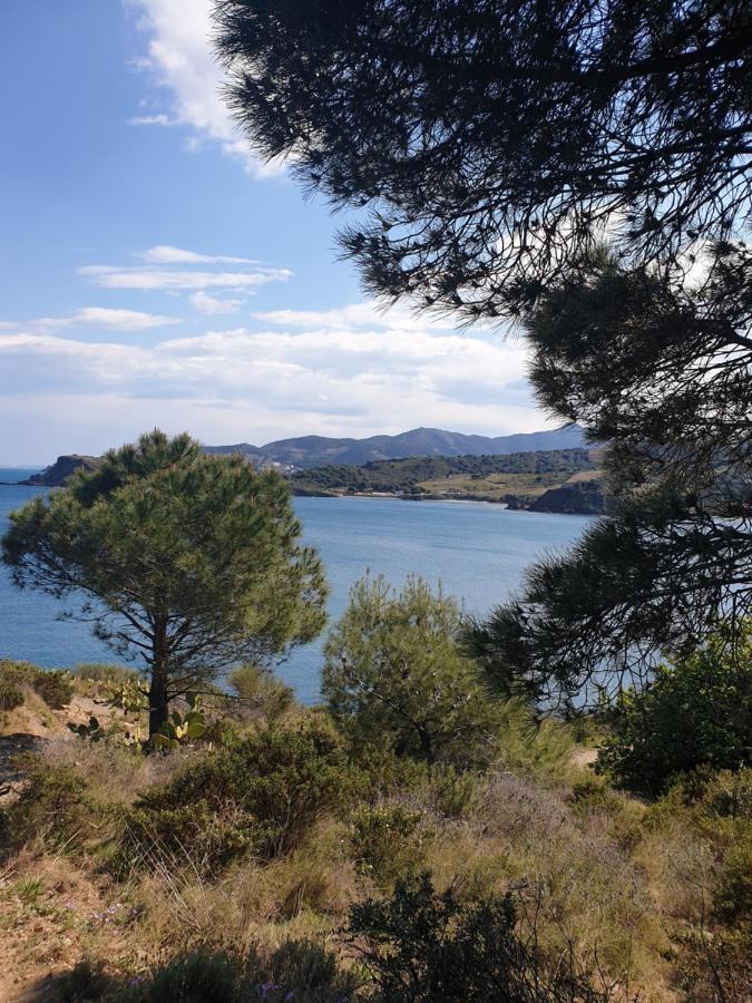 Mas Del Roumany Villa Port Vendres Exterior photo